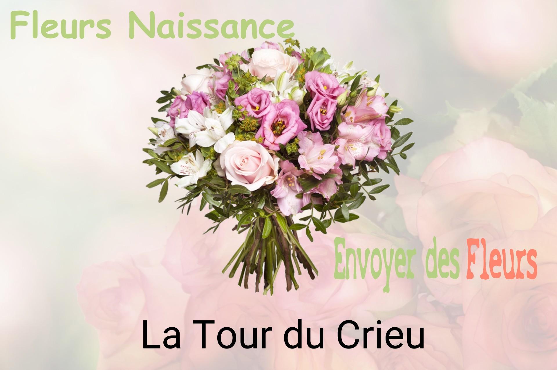 Bouquet de fleurs de naissance livré à La Tour-du-Crieu