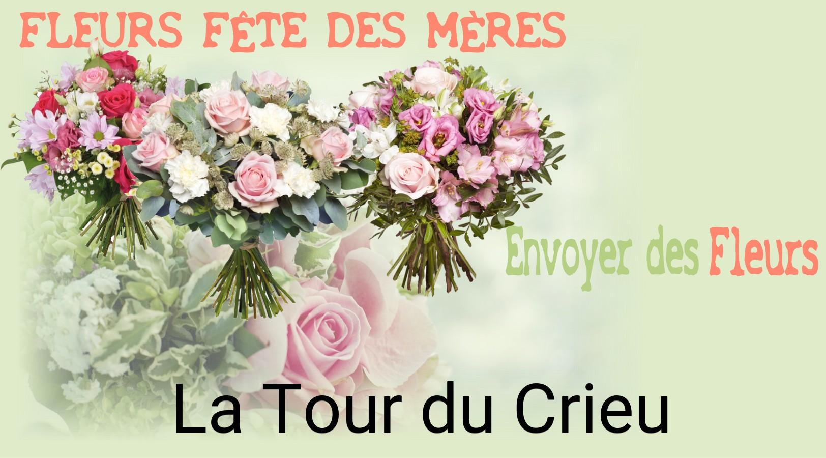Bouquet de Fête des Mères livré à La Tour-du-Crieu